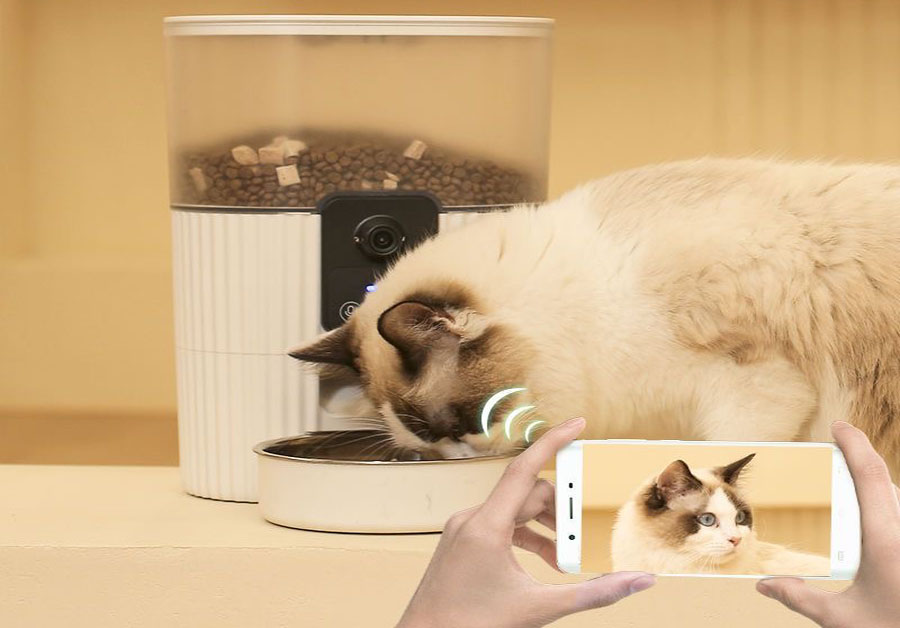 带摄像头宠物喂食器AI版