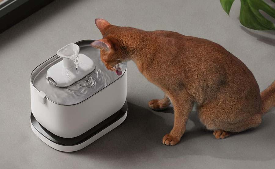 猫咪饮水机
