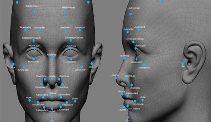 人脸识别算法主要识别哪几个器官